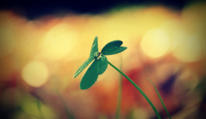 淘宝没有淘抢购,手机淘宝怎么没有淘抢购的页面了