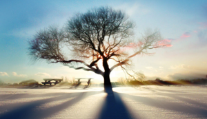 淘宝没有淘抢购,手机淘宝怎么没有淘抢购的页面了