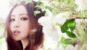 天天特价图片要求,天天特价在哪里展示